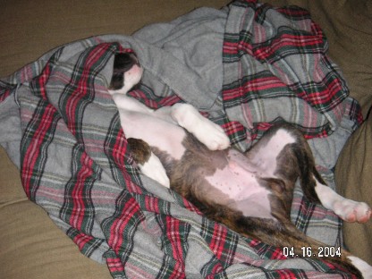 Sleeping beauty