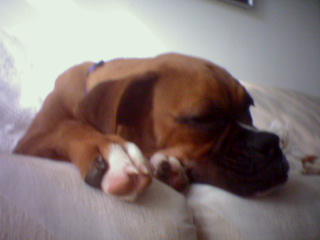 Sleeping Beauty