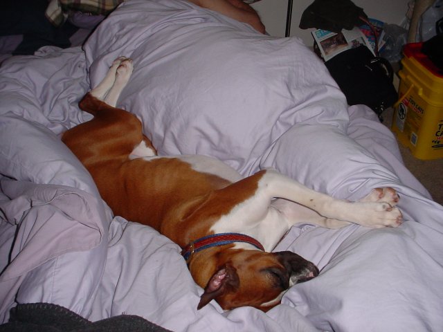 Sleeping Beauty
