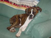 Sleeping Beauty