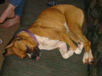 Sleeping beauty???