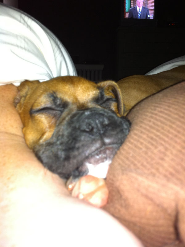 Sleeping Boone