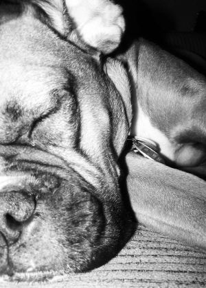 Sleeping boy
