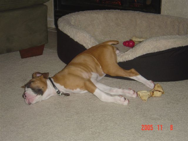 Sleeping half outa the bed