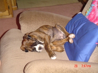 Sleeping in the recliner