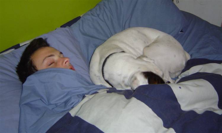 Sleeping in
