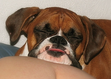 Sleeping In