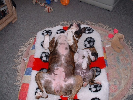 sleeping it off