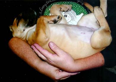 Sleeping Like a Baby