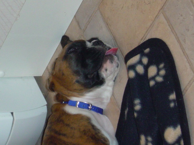 Sleeping like a baby