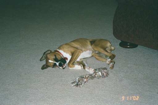 Sleeping like a little baby.
