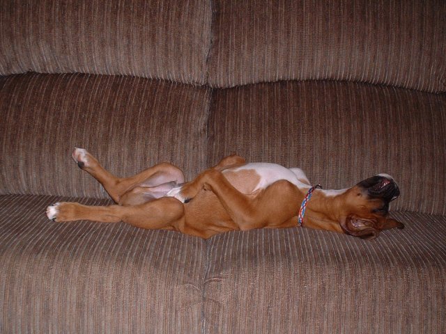 Sleeping on Back