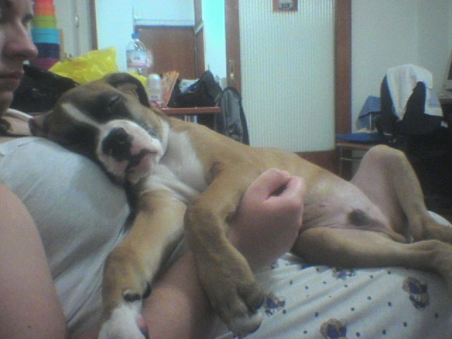 sleeping on mommy's hug