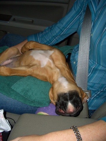 Sleeping on Mommy's Lap