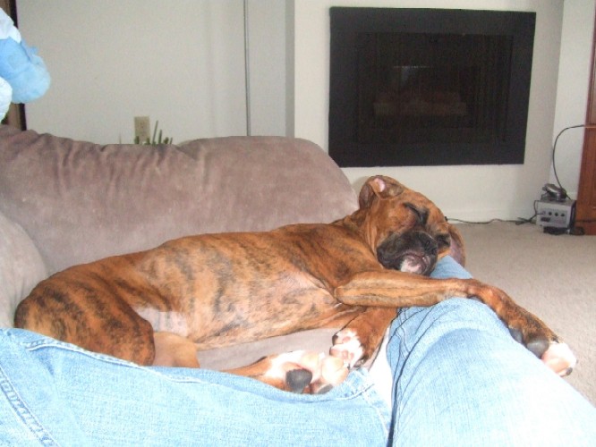 Sleeping on Mommy's Legs