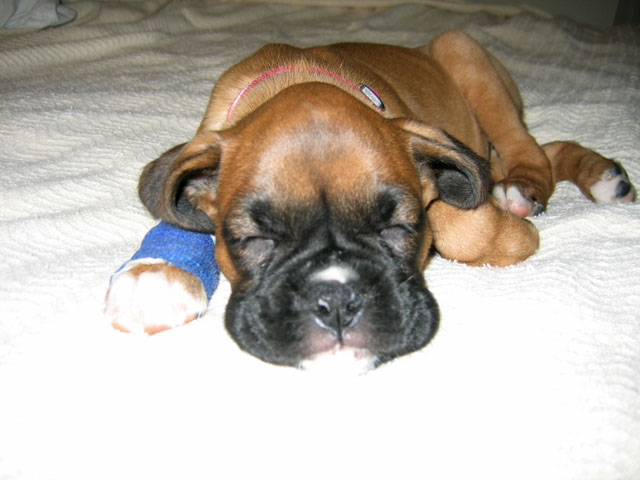 Sleeping on Mom's Bed