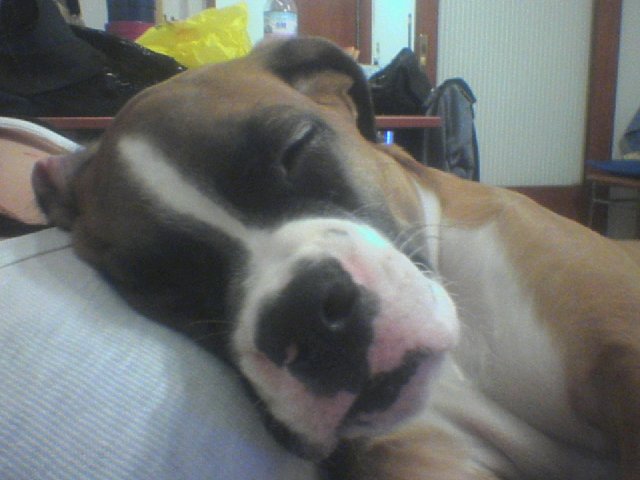 sleeping on my chest