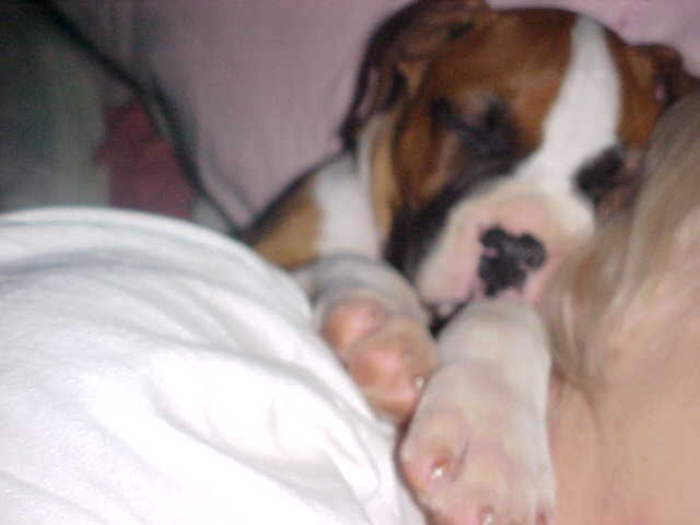 Sleeping on my mommy