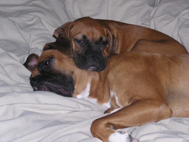 Sleeping on our bed