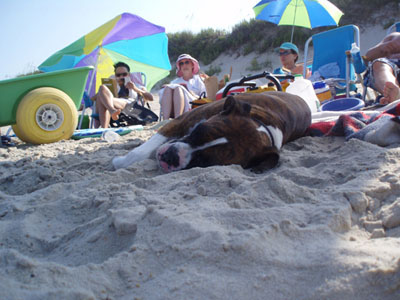Sleeping on the Beach