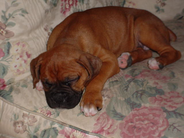 Sleeping on the couch