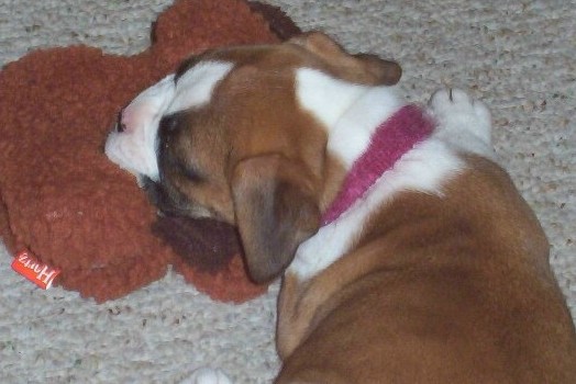sleeping quietly