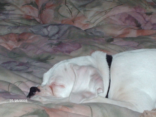 Sleeping Sampson