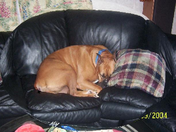Sleeping Soundly