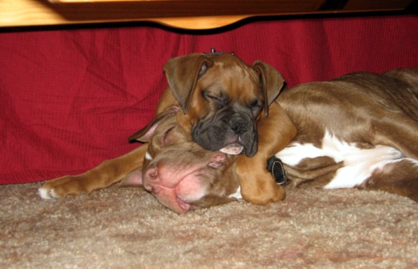 Sleeping Soundly