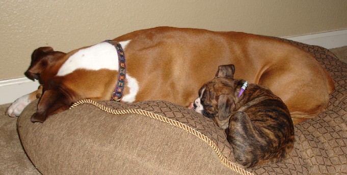 Sleeping Soundly