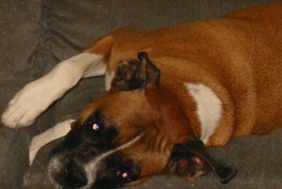 Sleeping Stella