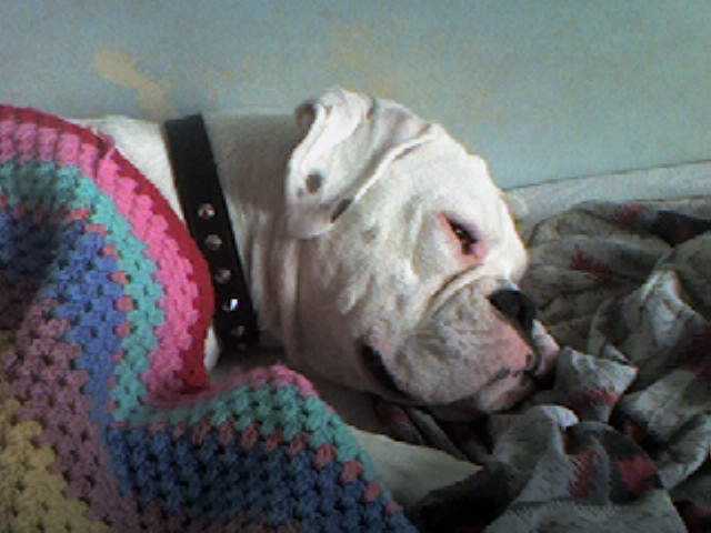 Sleeping under 'blanky'