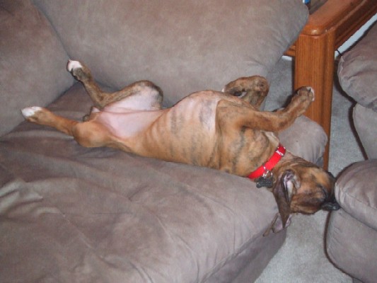 Sleeping Upside Down! 12 weeks old