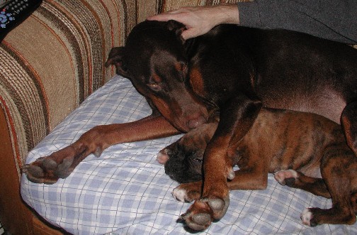 Sleeping with brother