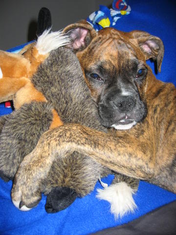 Sleeping with his Baby