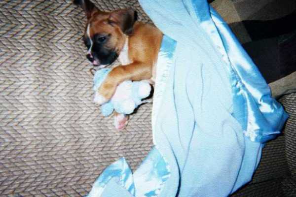 sleeping with my baby