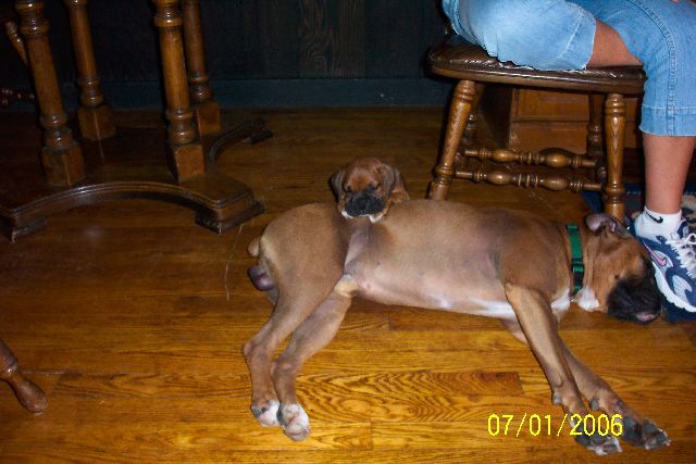 Sleeping with my bro