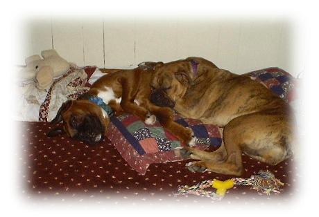 sleeping