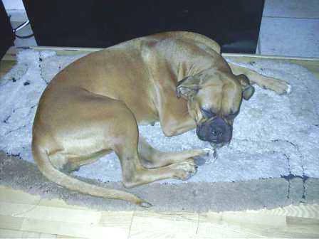 Sleeping