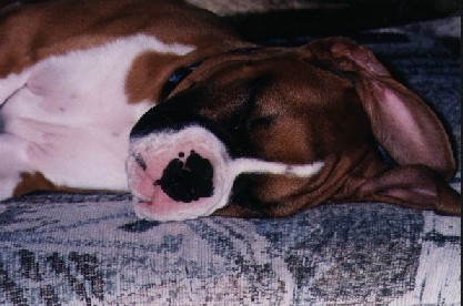 sleeping