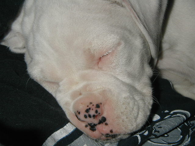 Sleeping