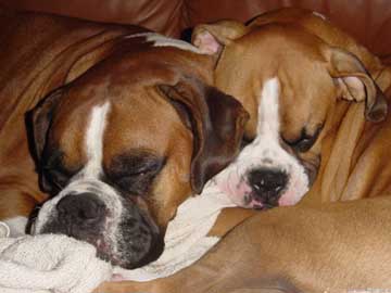 Sleeping