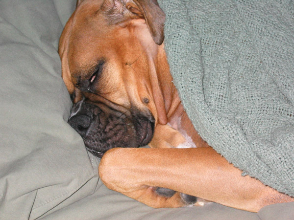 sleeping