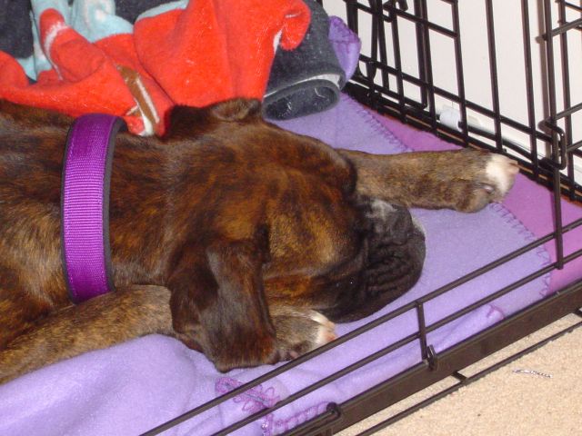 Sleeping