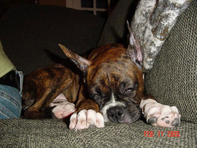 Sleeping