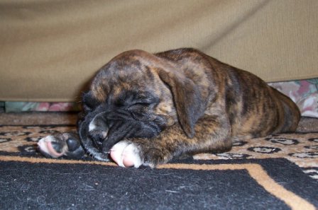 Sleeping