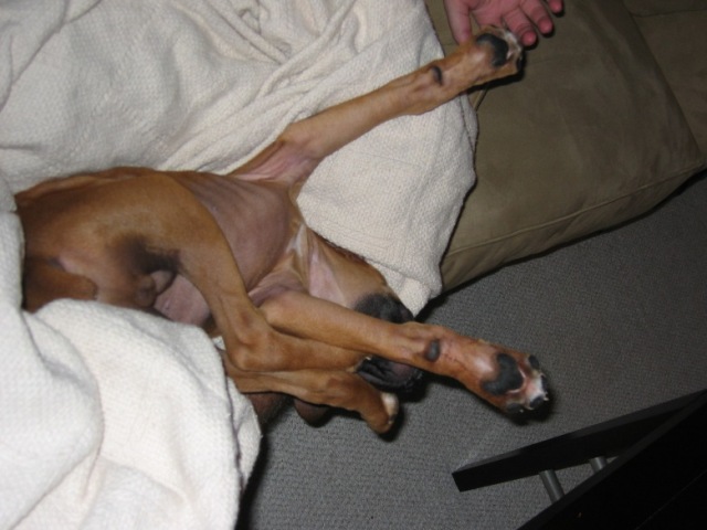 Sleeping