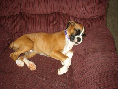 Sleeping