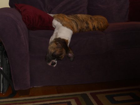 sleeping