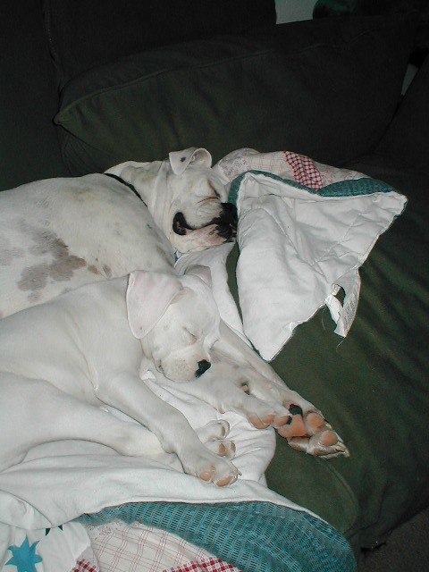 Sleeping